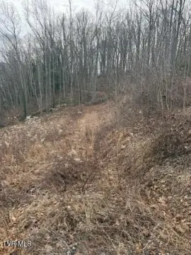 Unrestricted Lot Near Downtown