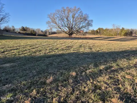 Residential Land in Mosheim, TN