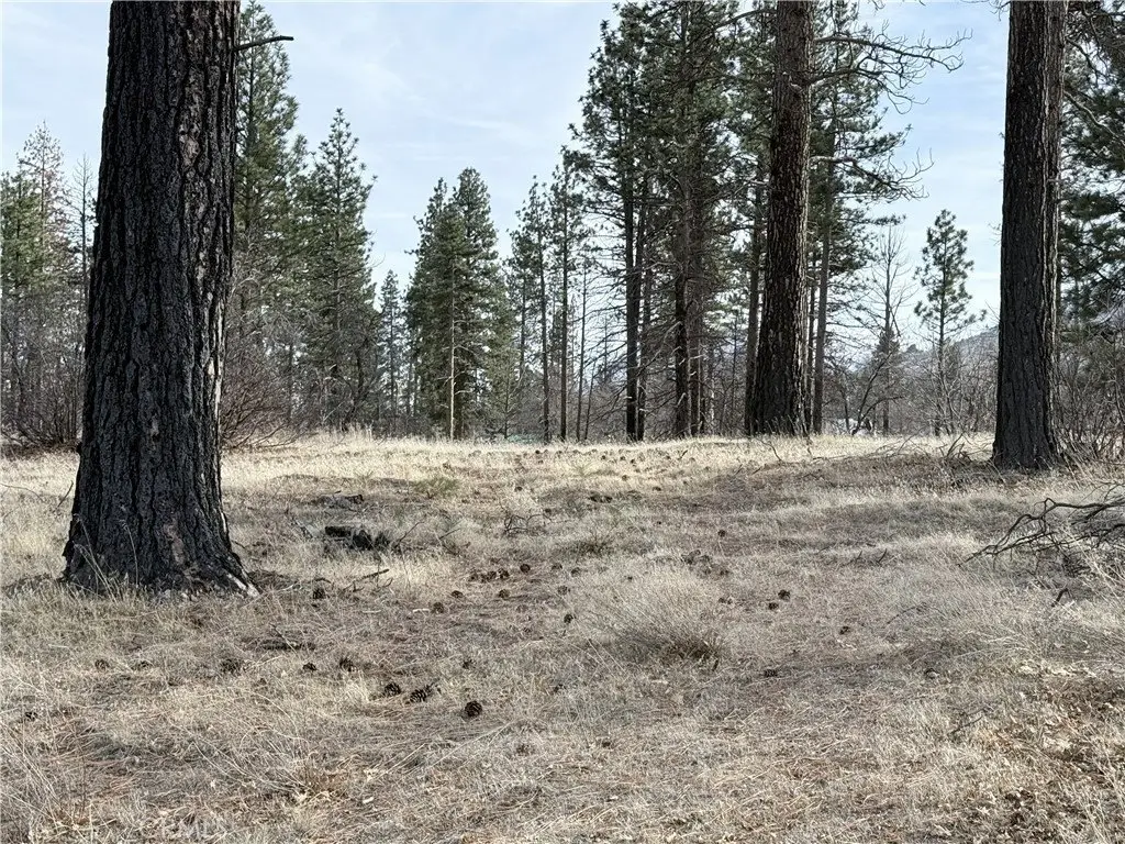 Picture 7