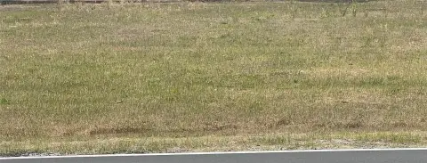 Vacant Lot Near Lake Weir