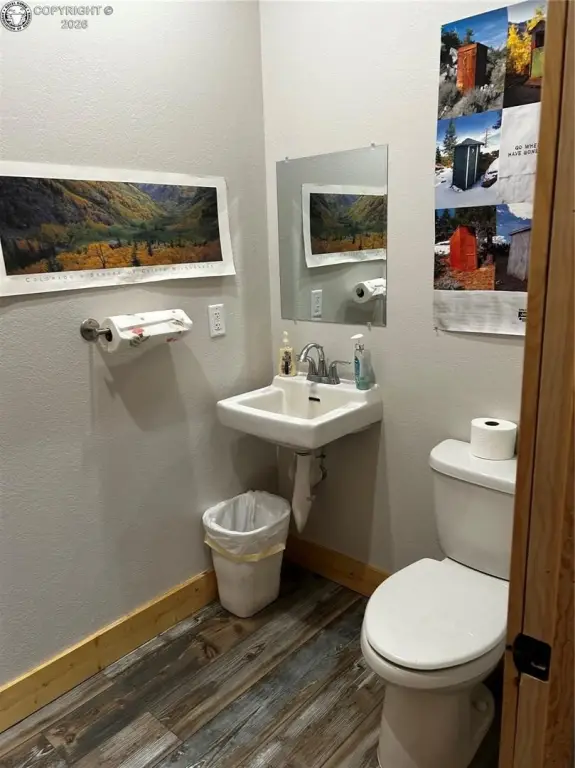 Picture 13