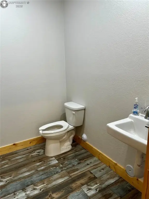 Picture 11