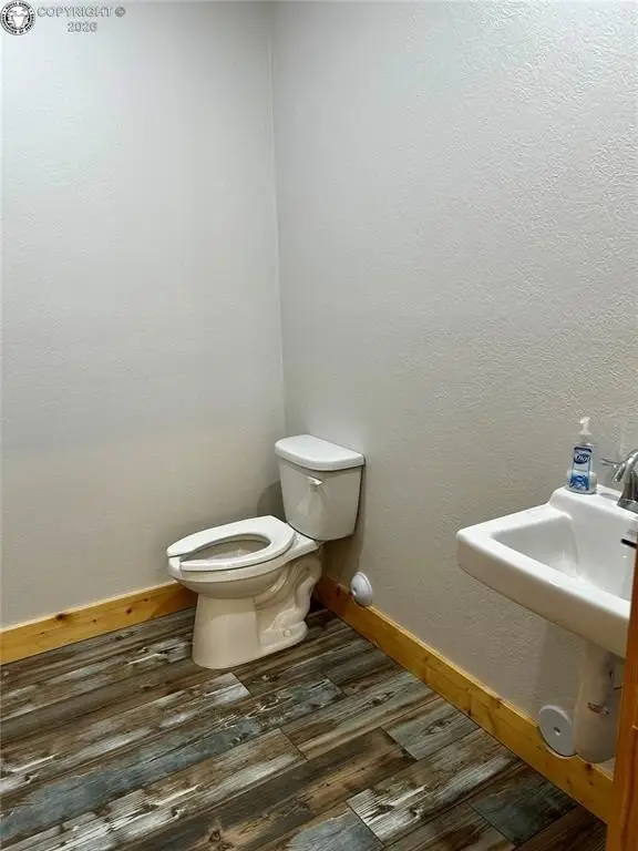Picture 11