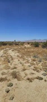 Mojave Land Investment Opportunity