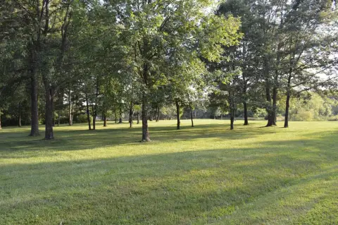 Fairfield, IL Vacant Land