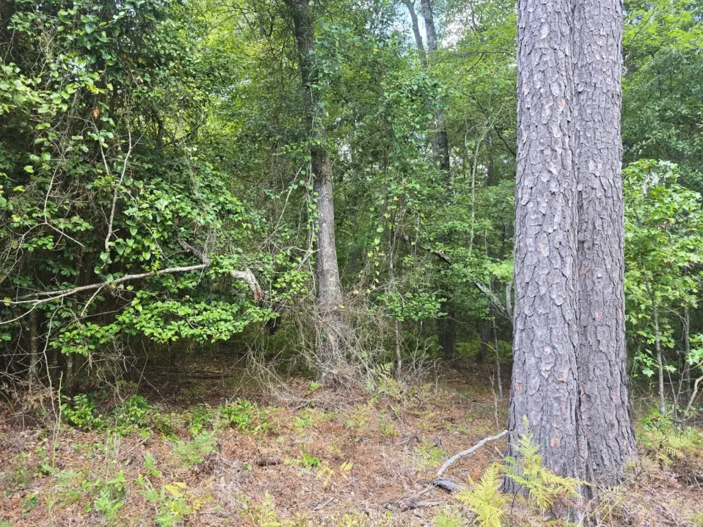 Picture 30