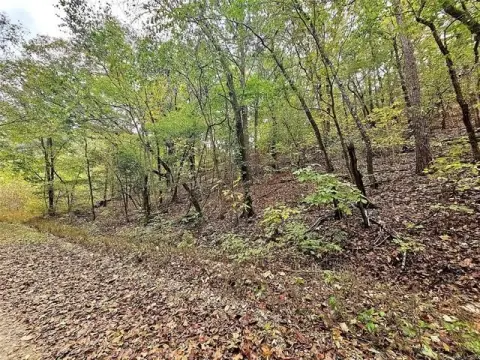 40 Acres Wooded Land, Westville