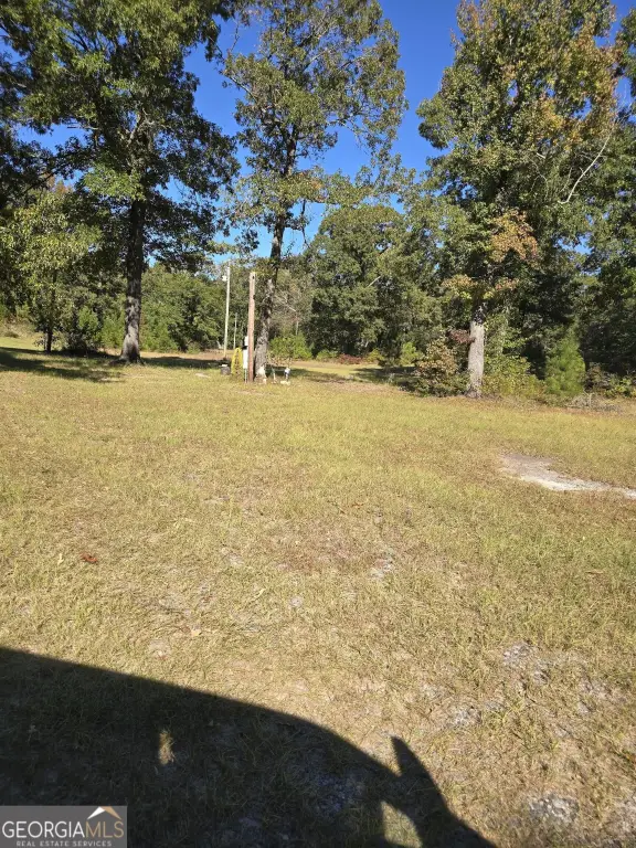 Picture 2