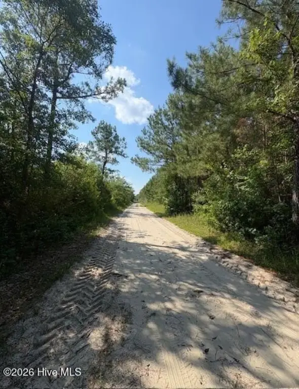 Picture 4