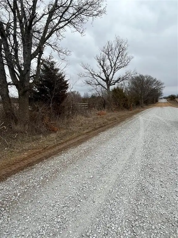 Picture 15