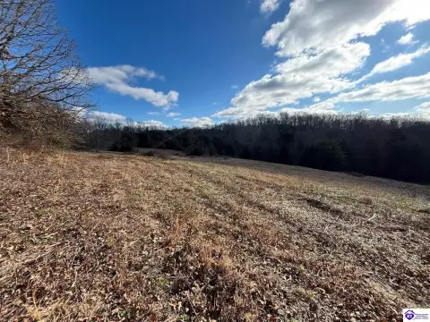 Clarkson, KY Land Auction