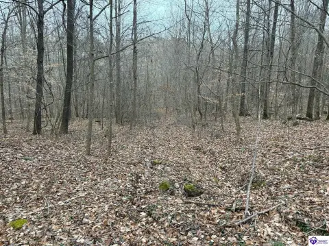 Land Parcel in Rhodelia, KY