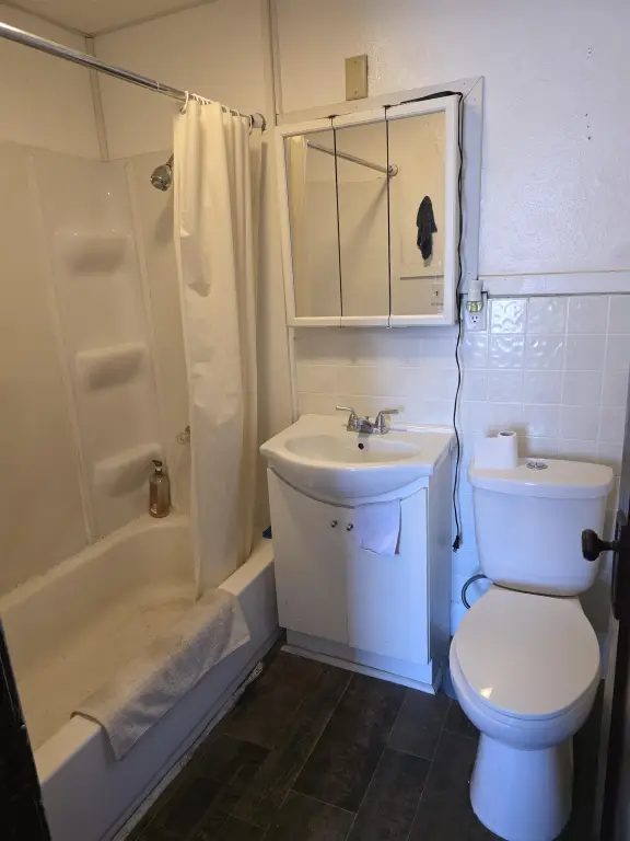 Picture 18