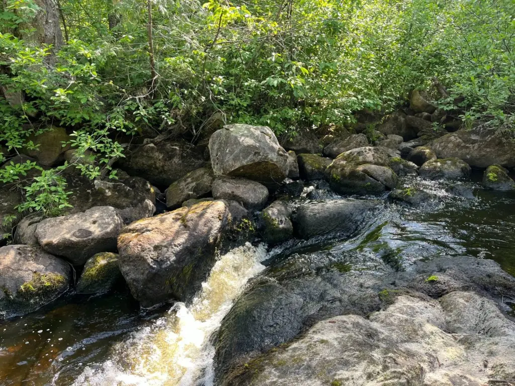 Picture 6
