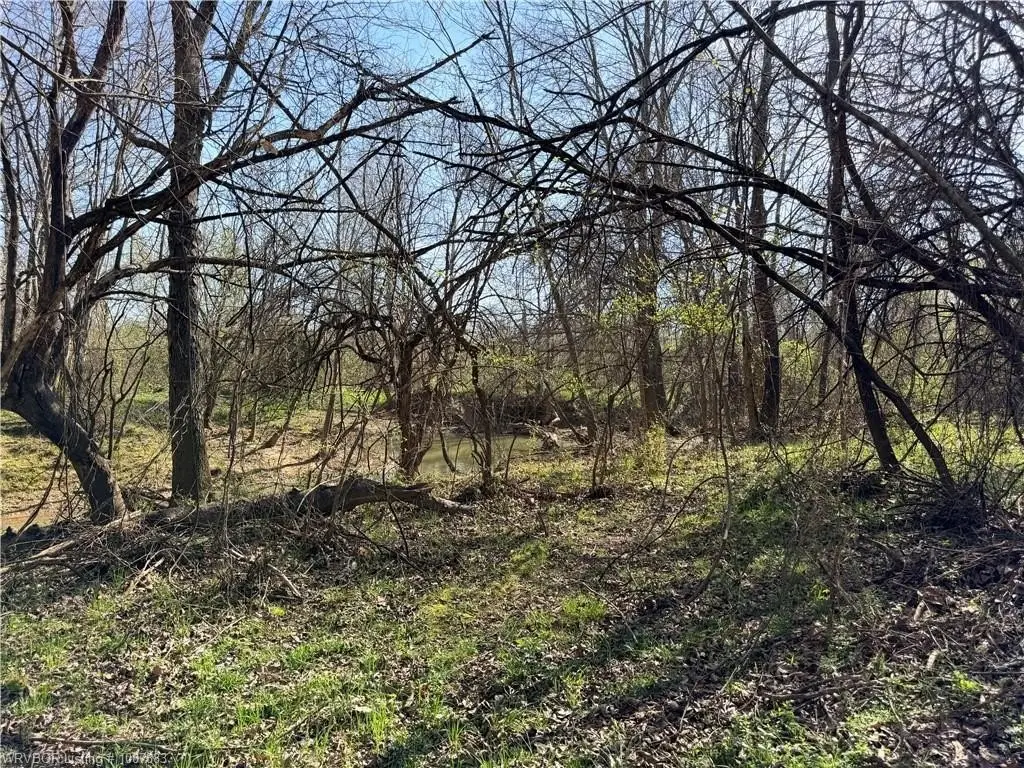 Picture 17