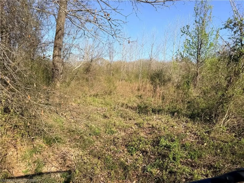 Picture 23