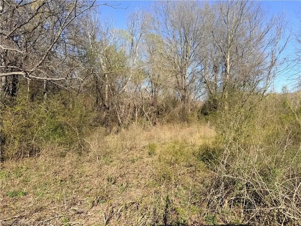 Picture 28
