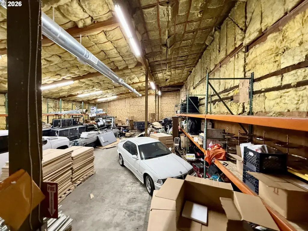 Picture 5