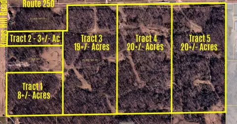 20 Acres of Wooded Land