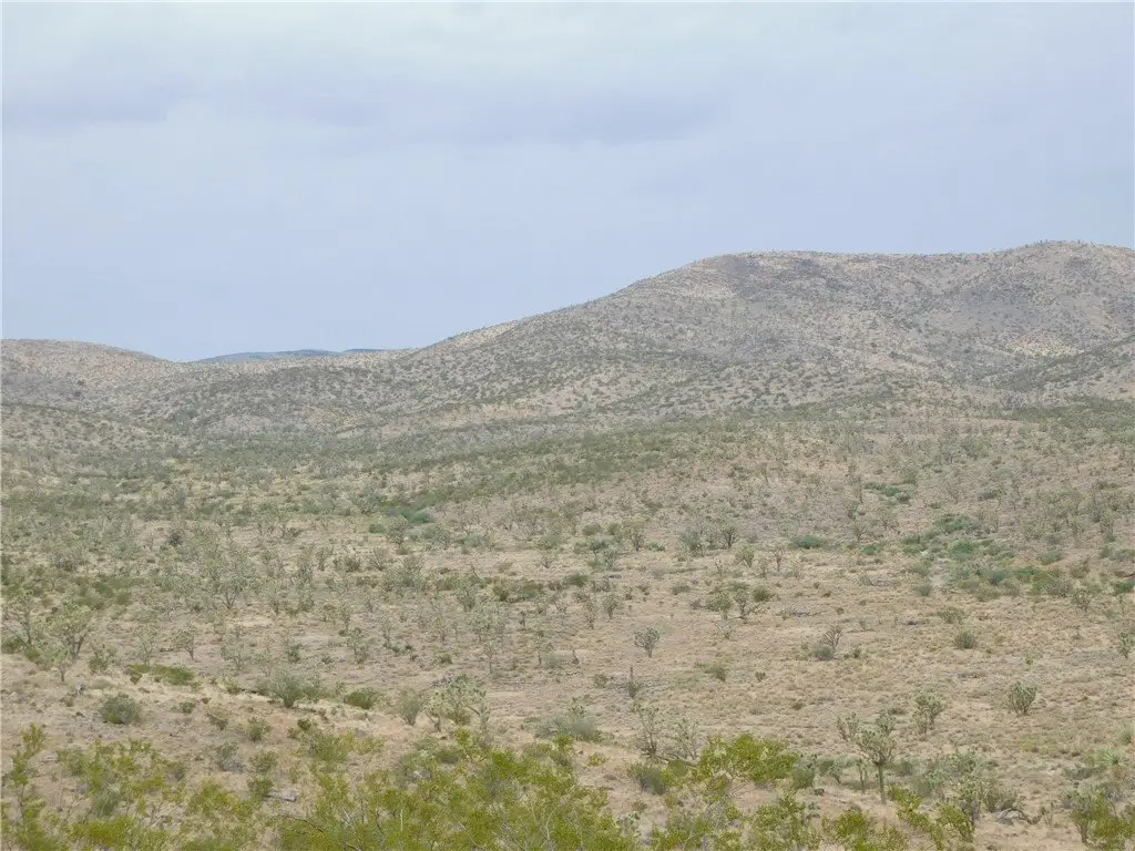 Picture 5