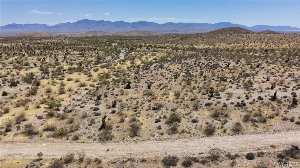 Picture 29
