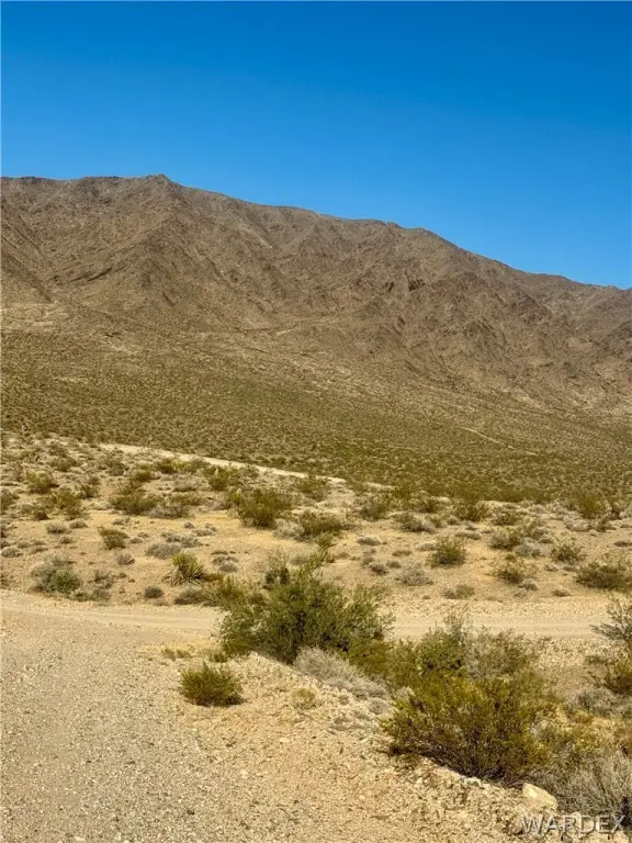 Picture 21