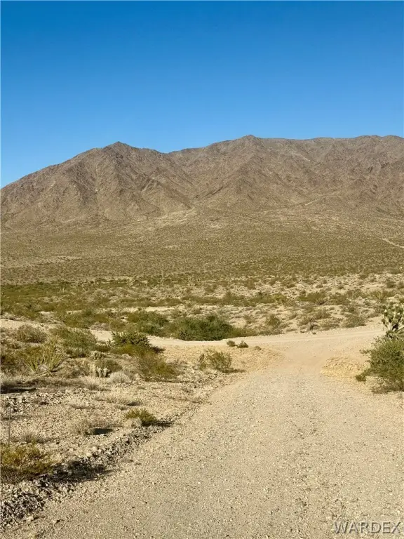 Picture 17