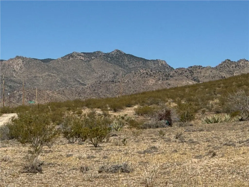 Picture 26