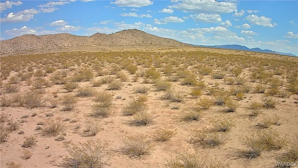 Picture 3