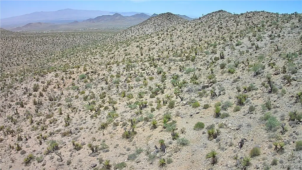 Picture 43