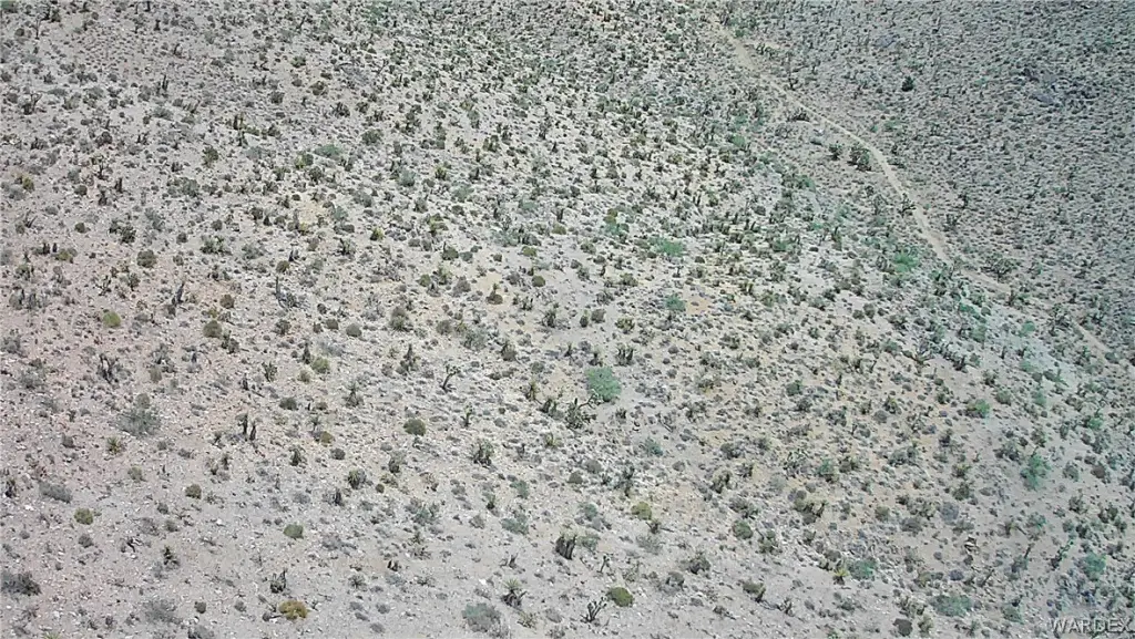 Picture 39