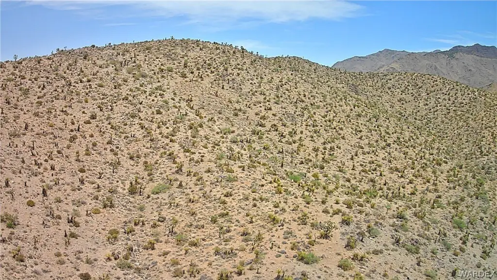 Picture 45