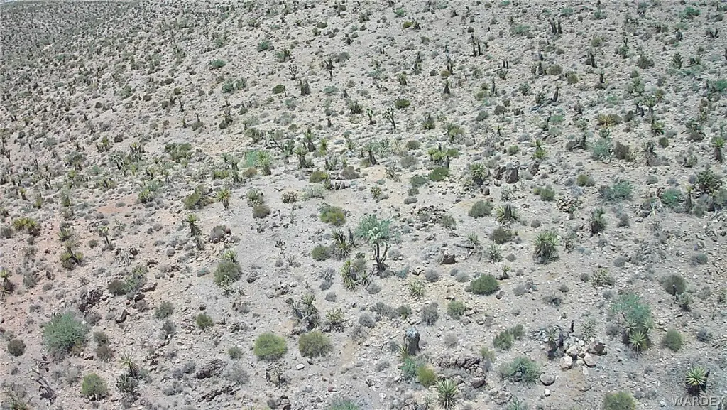 Picture 44