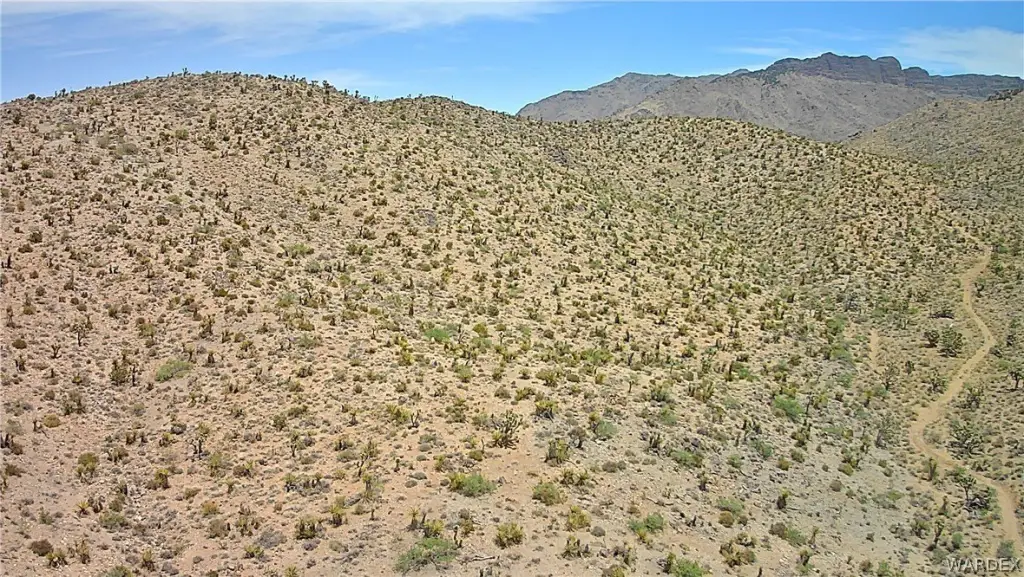 Picture 46