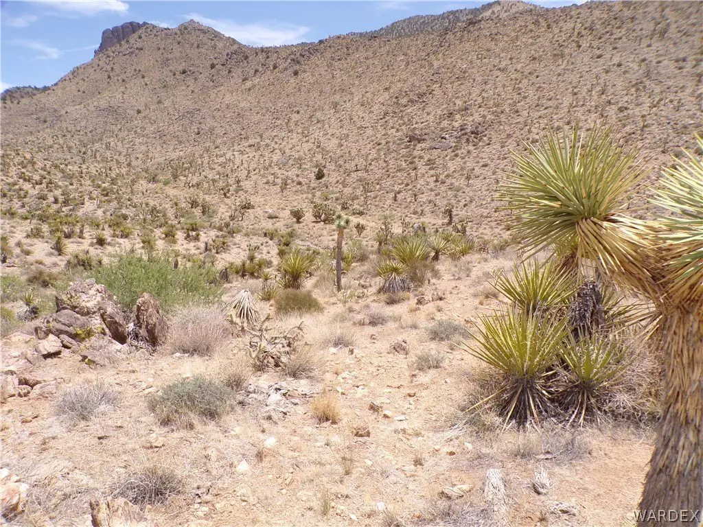 Picture 28