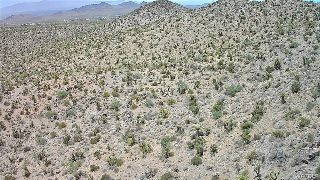Picture 42