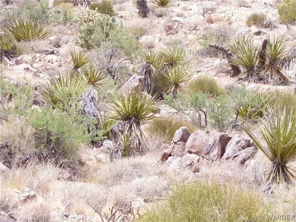 Picture 14