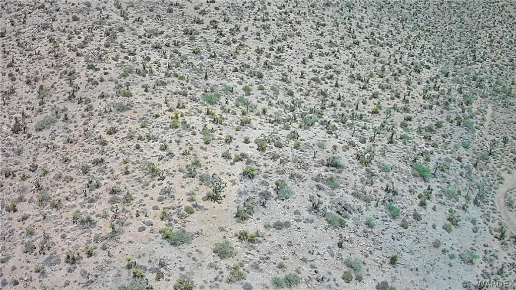 Picture 41