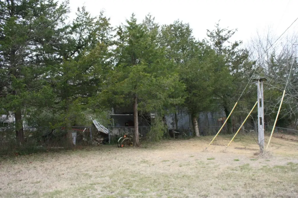 Picture 4