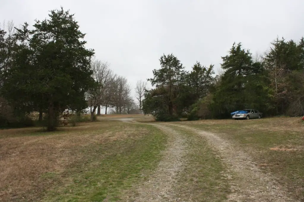 Picture 5