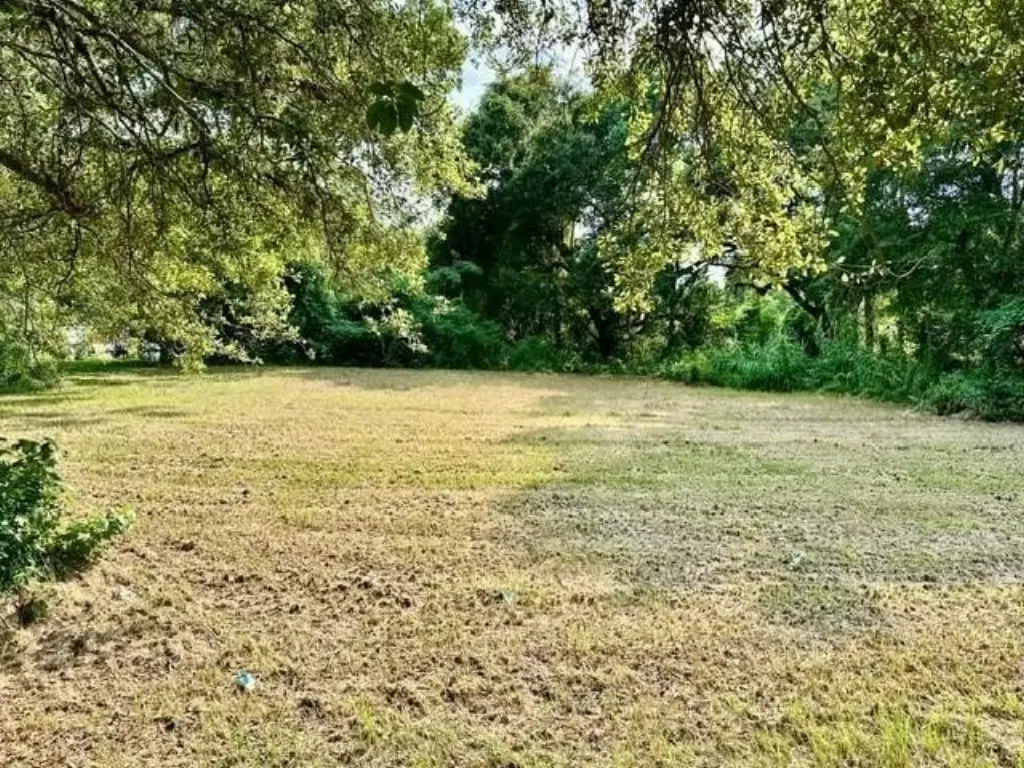 Picture 4
