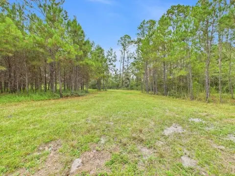 6.87 Acres in Shady Grove