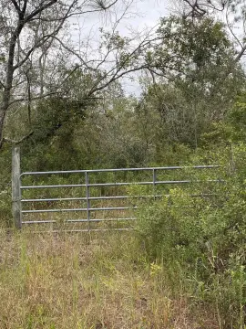 49 Acres Prime Hunting Land