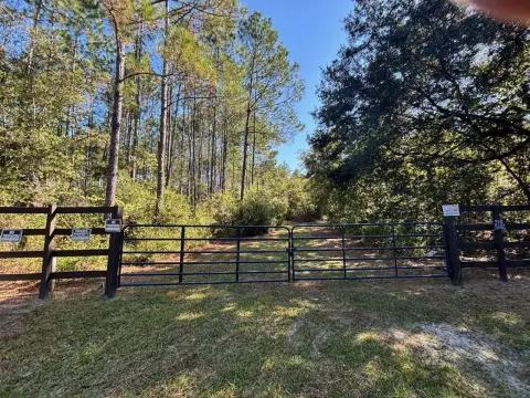 97 Acres of Hunting Land