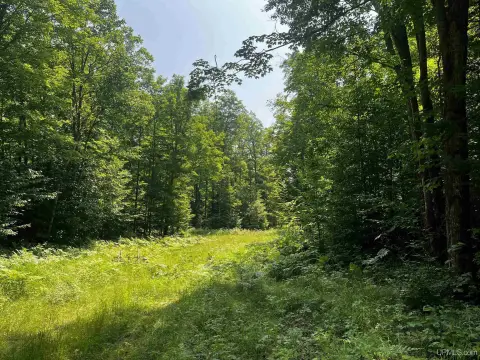Upland Hardwood Land Near Marquette
