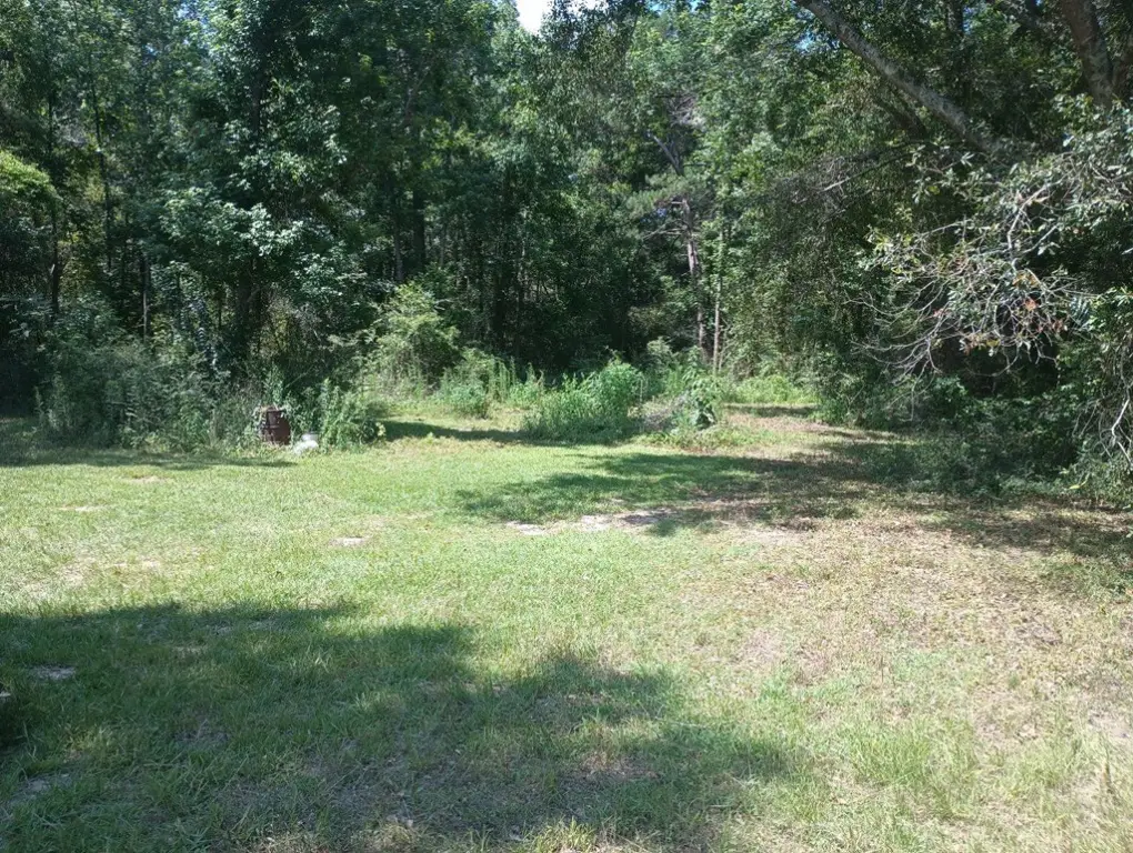Picture 16