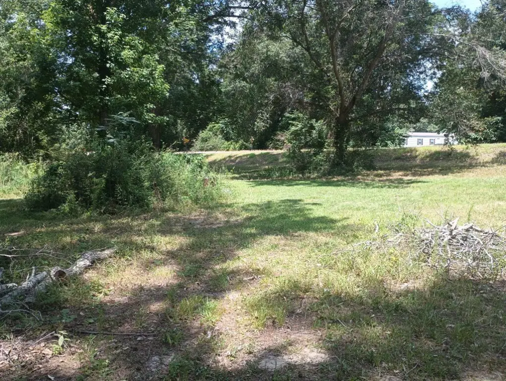 Picture 15