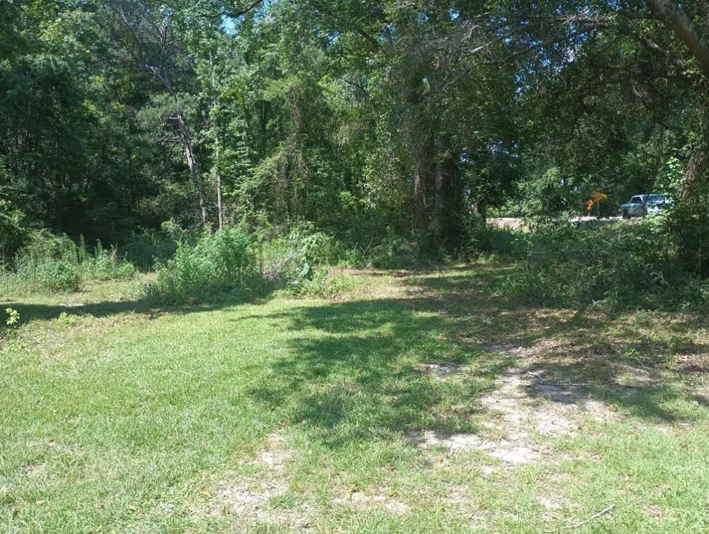 Picture 8