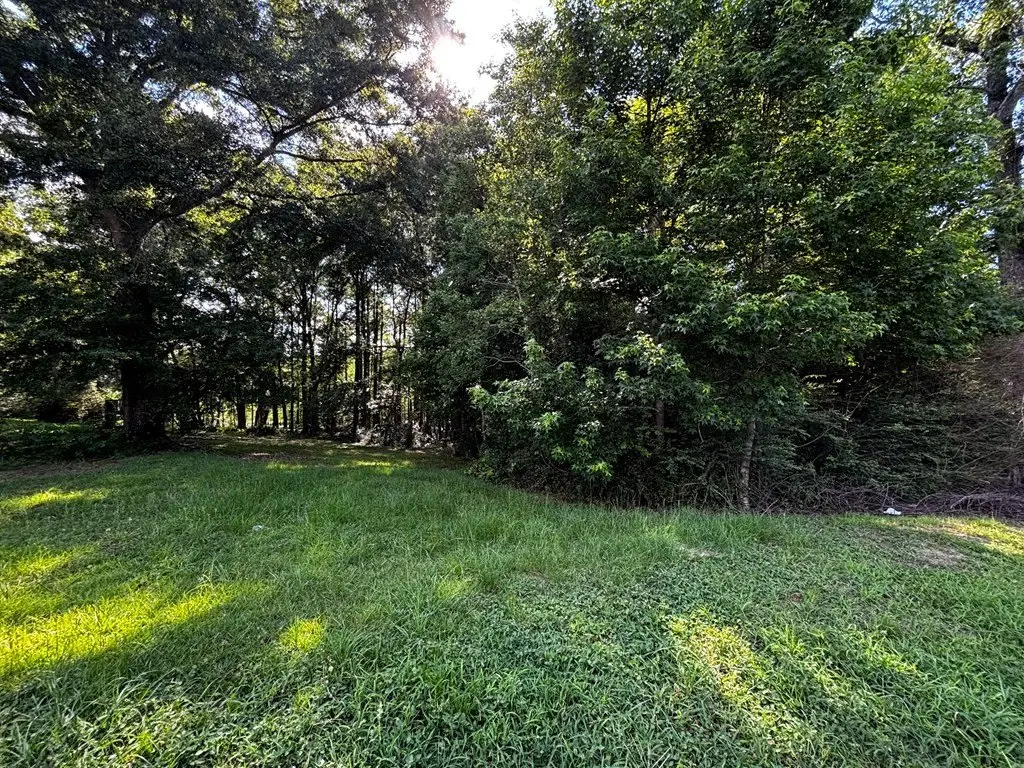 Picture 10