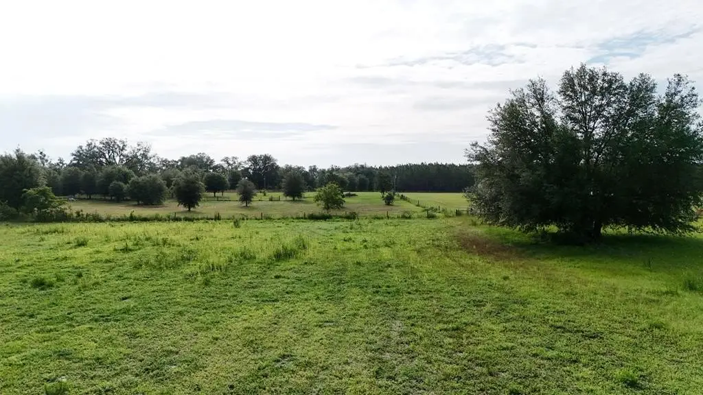 Picture 36